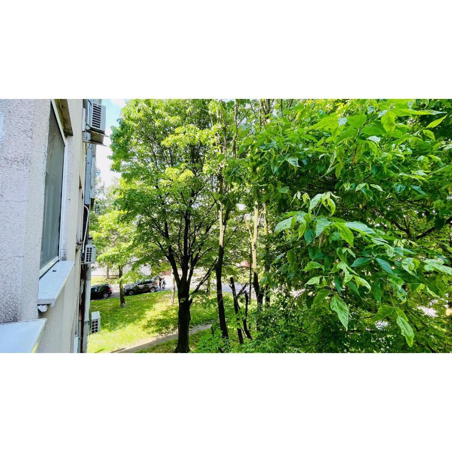 Apartman Jelena II Lägenhet Sremska Mitrovica Exteriör bild